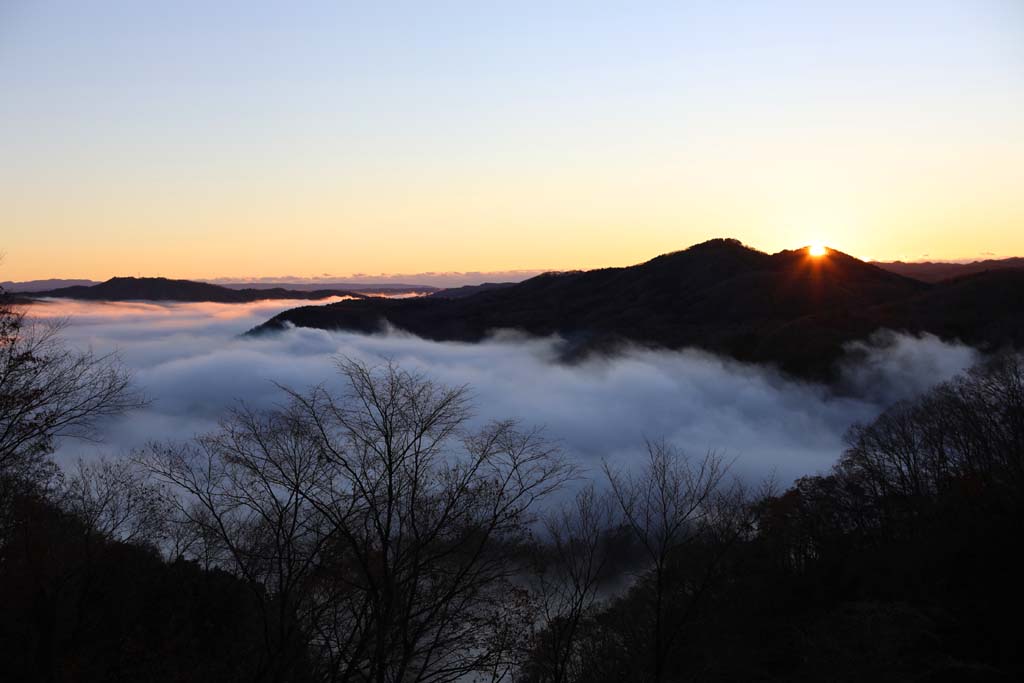 鎌倉山山頂から雲海、日の出