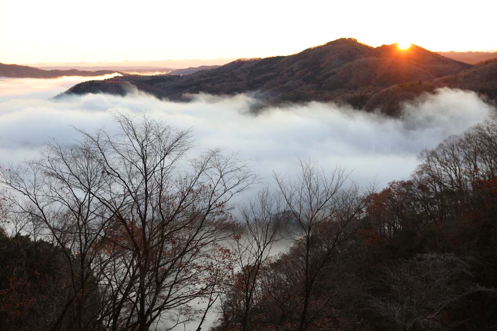 鎌倉山山頂からの雲海