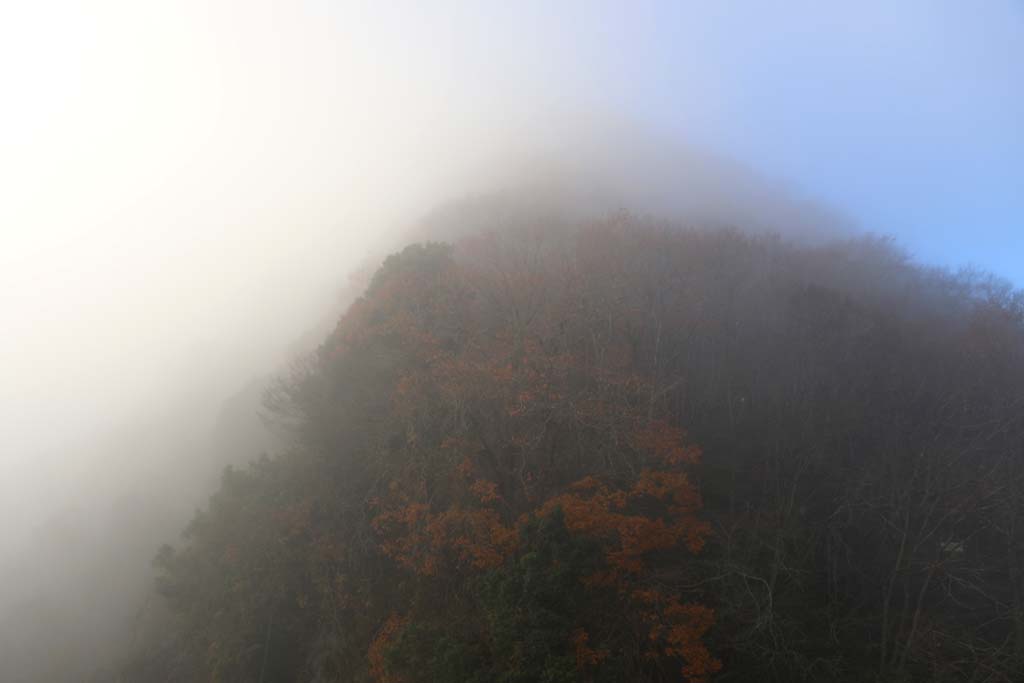 鎌倉山が雲海の境い目