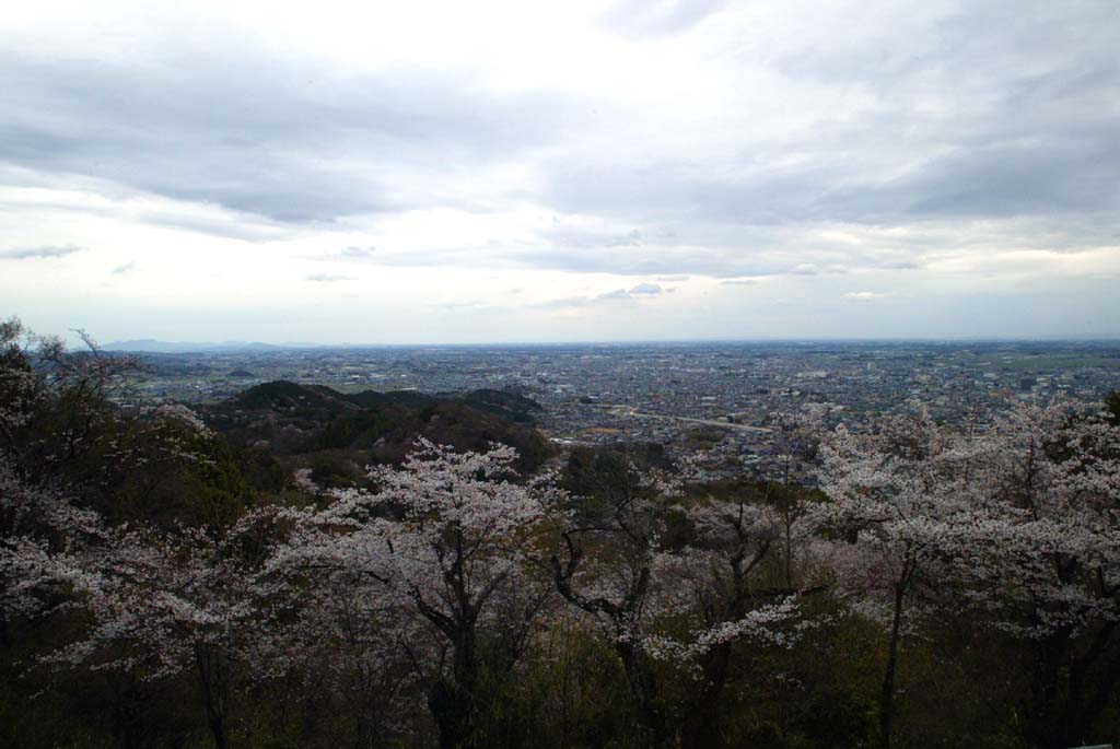 太平山神社
