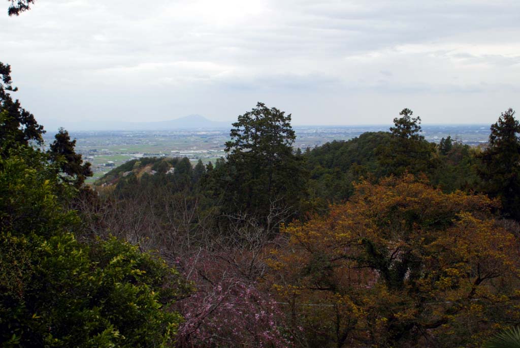 太平山神社