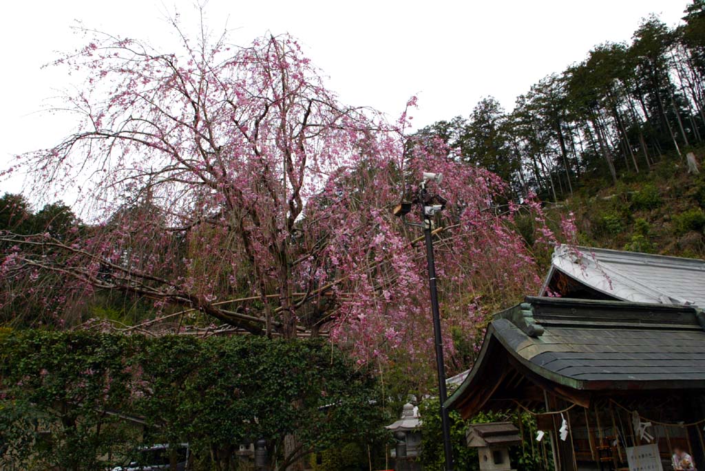 太平山神社