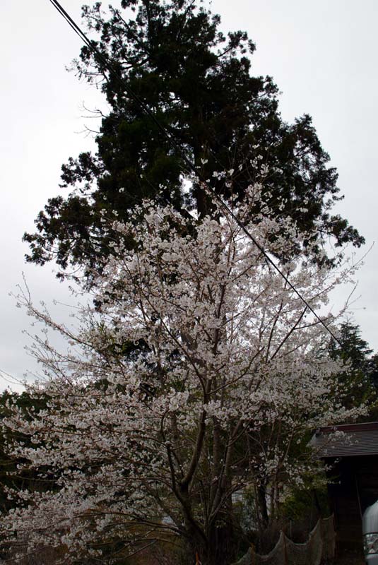 太平山神社