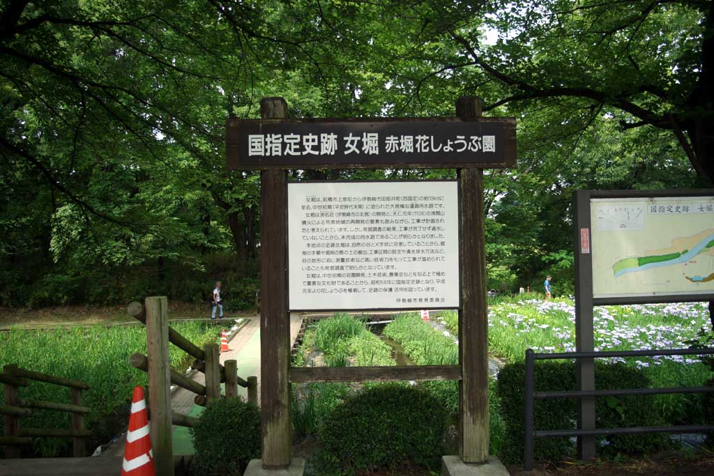 赤堀花菖蒲園、女堀