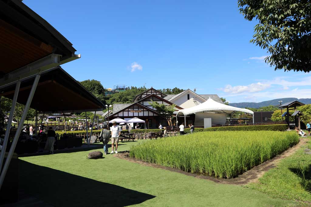 道の駅 川場田園プラザ 25