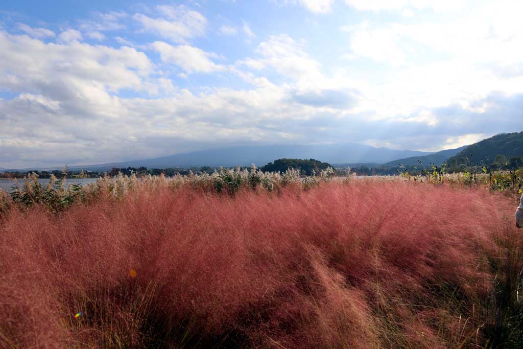 初秋の大石公園
