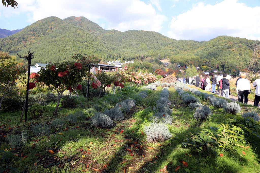 初秋の大石公園