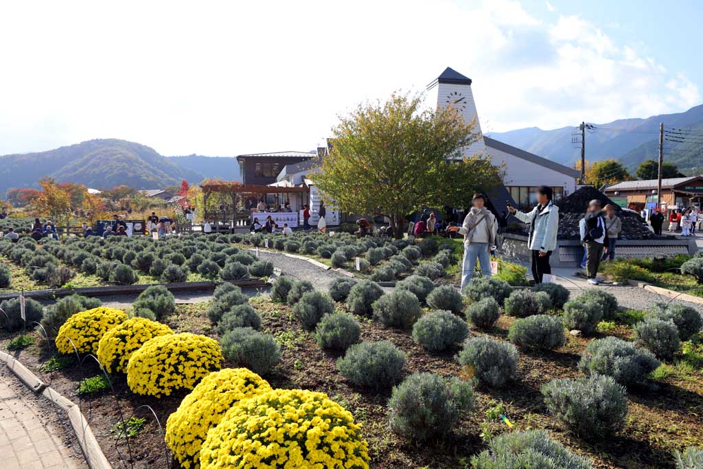 初秋の大石公園