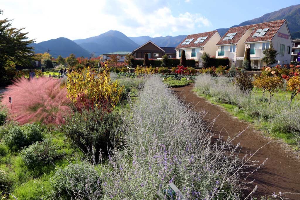 初秋の大石公園