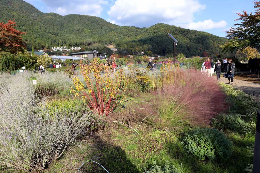 初秋の大石公園