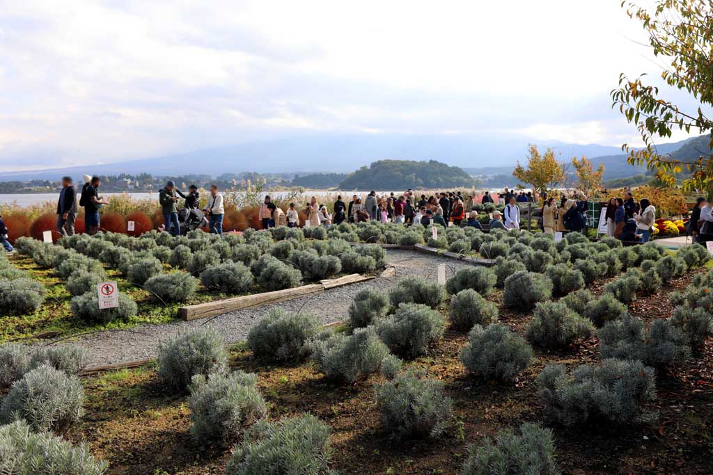 初秋の大石公園
