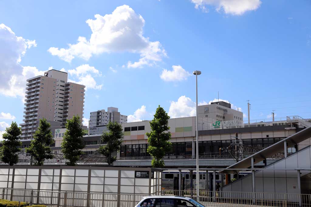 �^�s���̂k�q�s�@�Q�O�Q�R