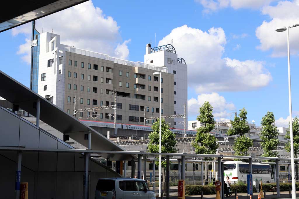 �^�s���̂k�q�s�@�Q�O�Q�R