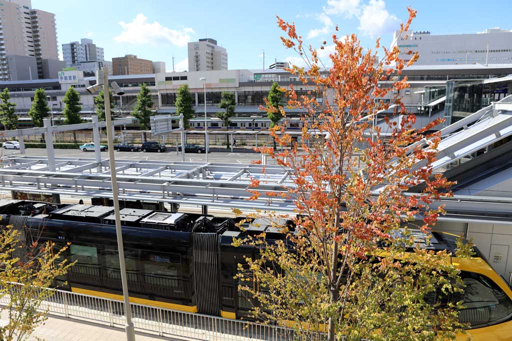 �^�s���̂k�q�s�@�Q�O�Q�R