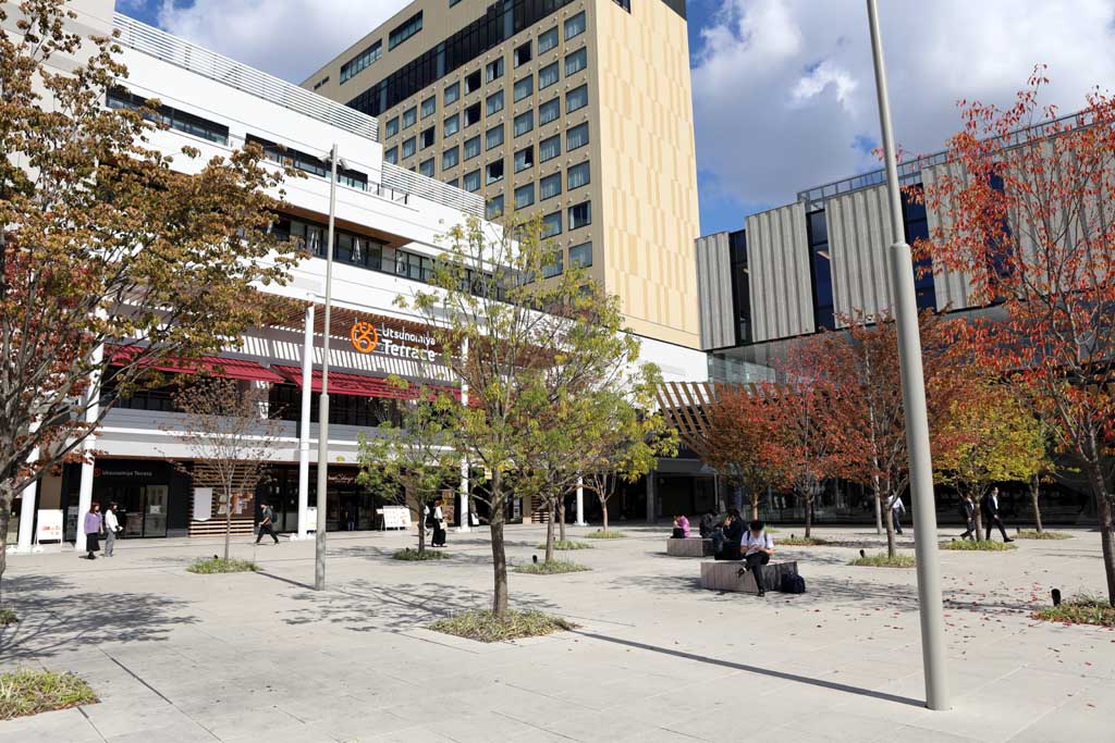 �^�s���̂k�q�s�@�Q�O�Q�R