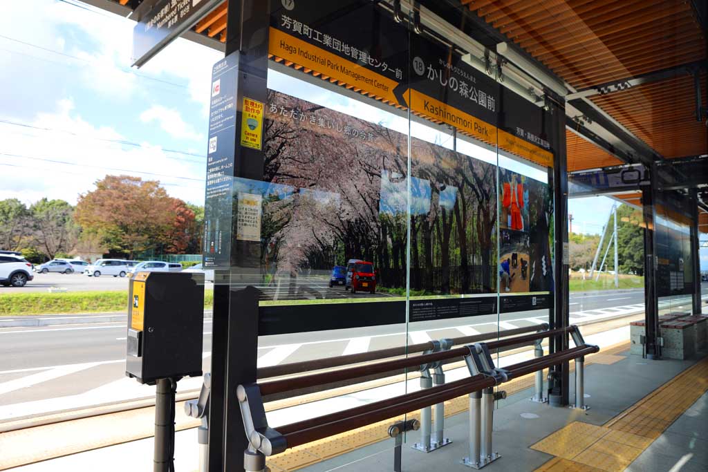 �^�s���̂k�q�s�@�Q�O�Q�R