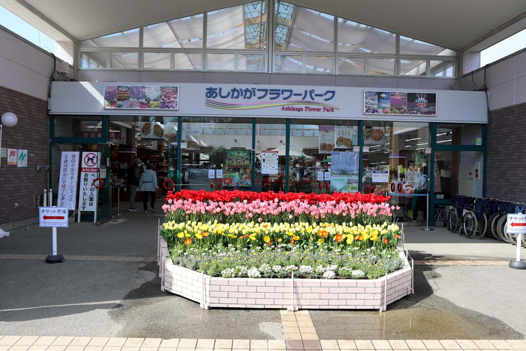 �����t�����[�p�[�N�@�Q�O�Q�U���t