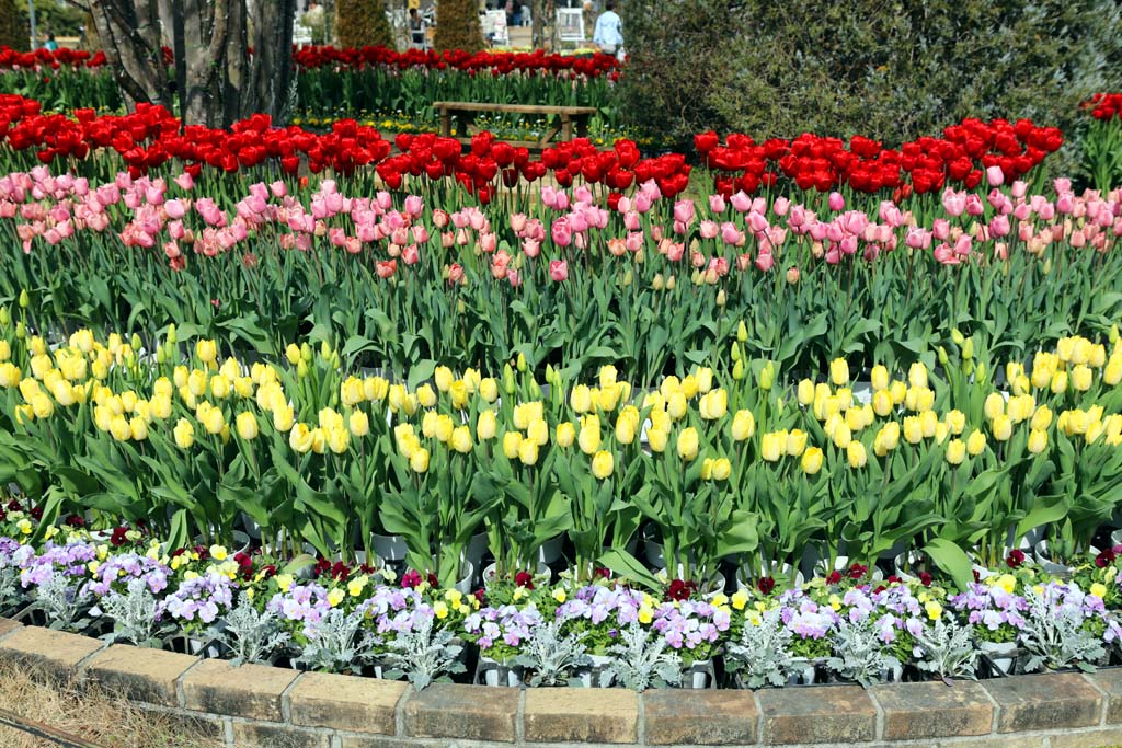 �����t�����[�p�[�N�@�Q�O�Q�U���t