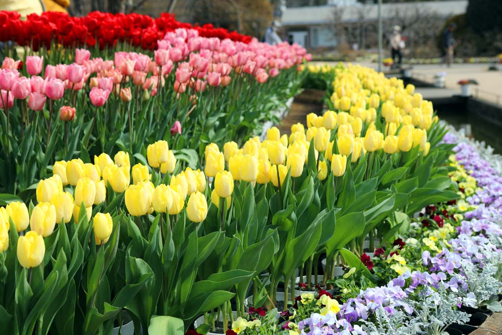 �����t�����[�p�[�N�@�Q�O�Q�U���t