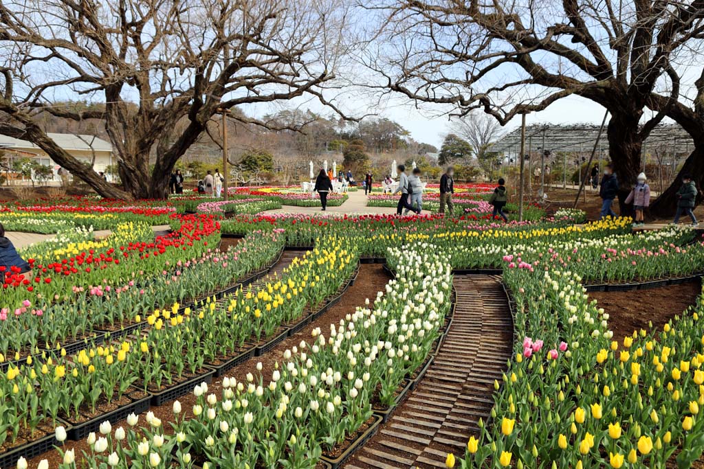 �����t�����[�p�[�N�@�Q�O�Q�U���t