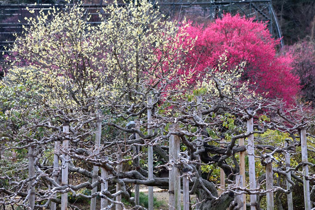 �����t�����[�p�[�N�@�Q�O�Q�U���t