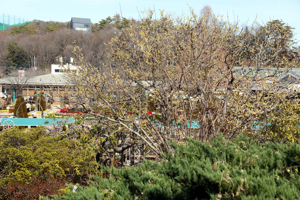 �����t�����[�p�[�N�@�Q�O�Q�U���t