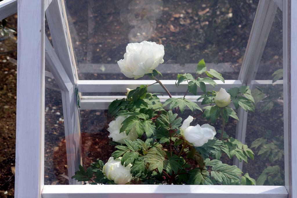 �����t�����[�p�[�N�@�Q�O�Q�U���t