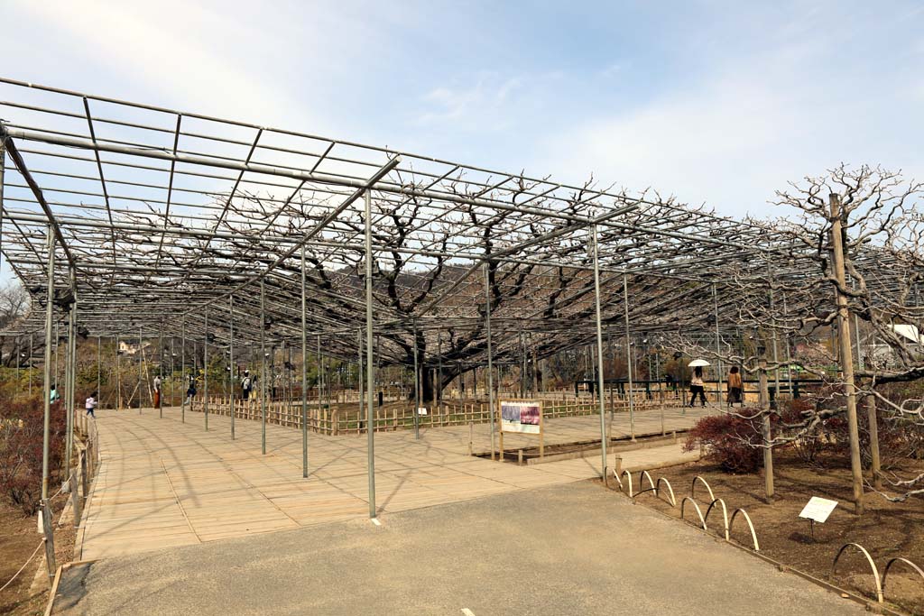 �����t�����[�p�[�N�@�Q�O�Q�U���t