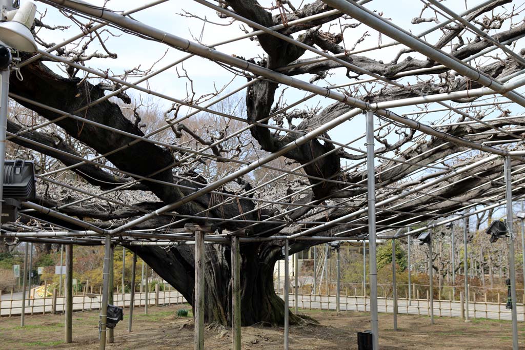 �����t�����[�p�[�N�@�Q�O�Q�U���t