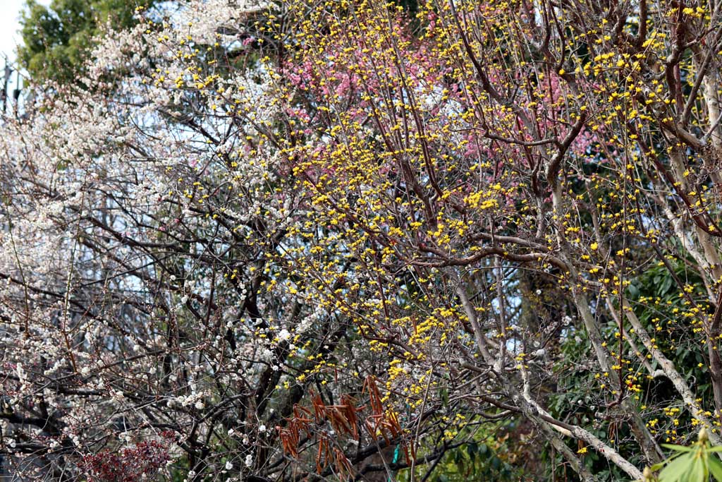 �����t�����[�p�[�N�@�Q�O�Q�U���t