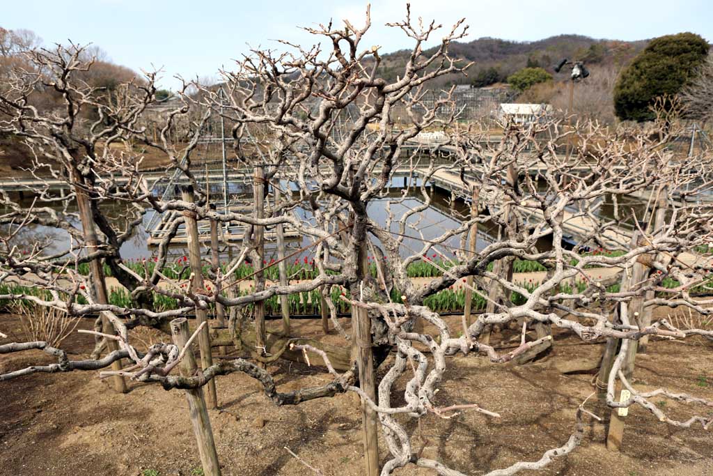 �����t�����[�p�[�N�@�Q�O�Q�U���t