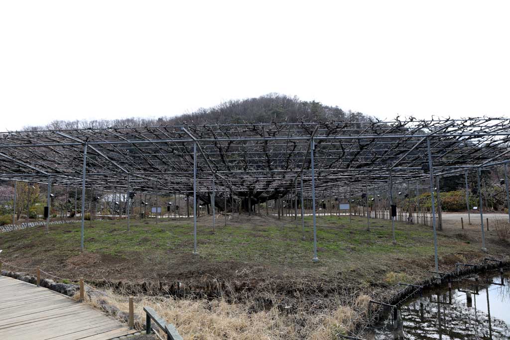 �����t�����[�p�[�N�@�Q�O�Q�U���t