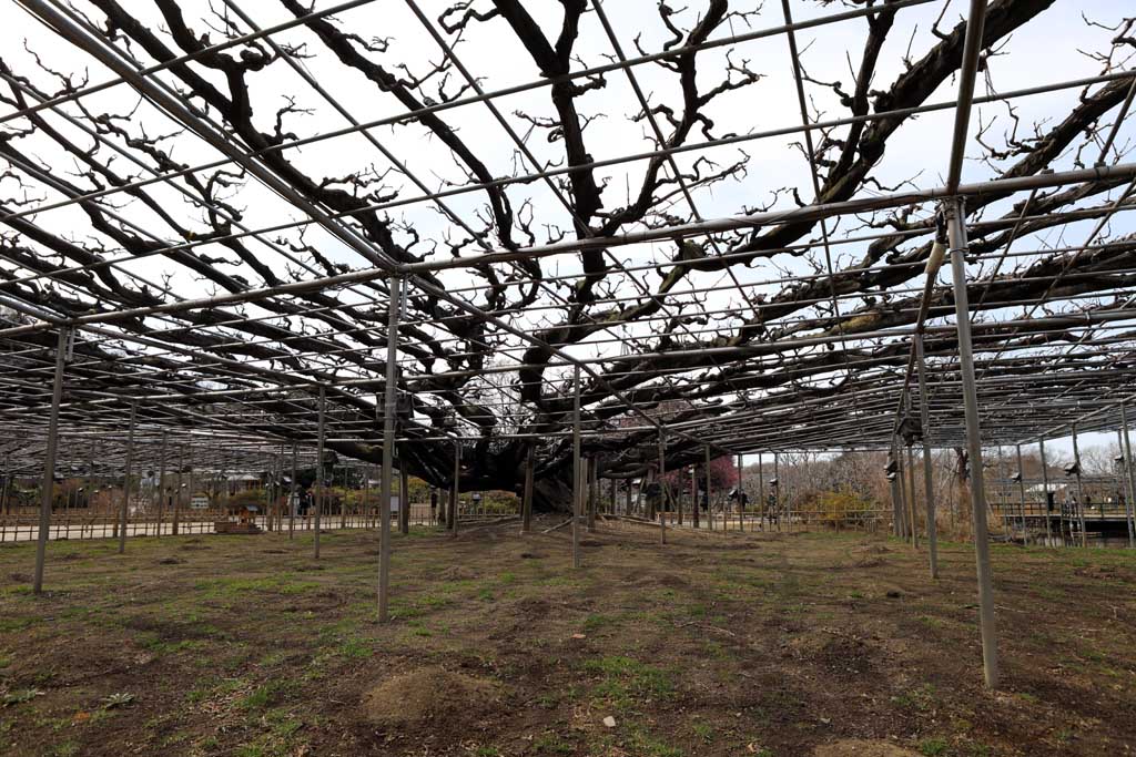 �����t�����[�p�[�N�@�Q�O�Q�U���t