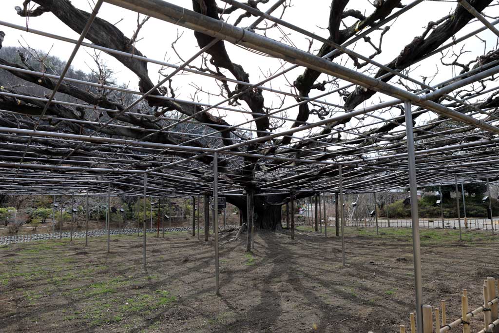 �����t�����[�p�[�N�@�Q�O�Q�U���t