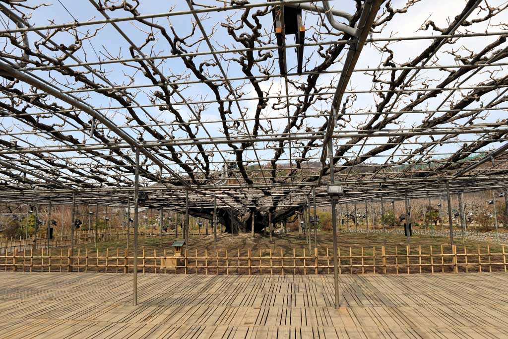 �����t�����[�p�[�N�@�Q�O�Q�U���t