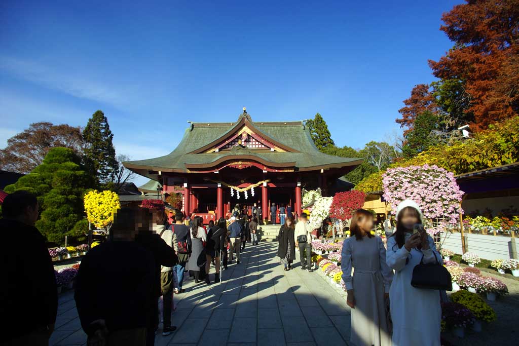 �}�Ԉ�א_�Ё@�Q�O�Q�T