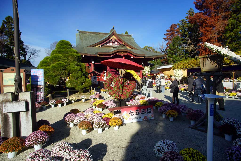 �}�Ԉ�א_�Ё@�Q�O�Q�T