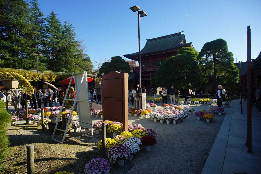 �}�Ԉ�א_�Ё@�Q�O�Q�T