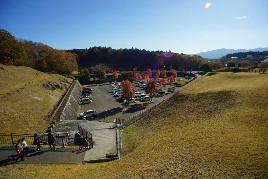 �}�ԍH�|�̋u�@�ӏH