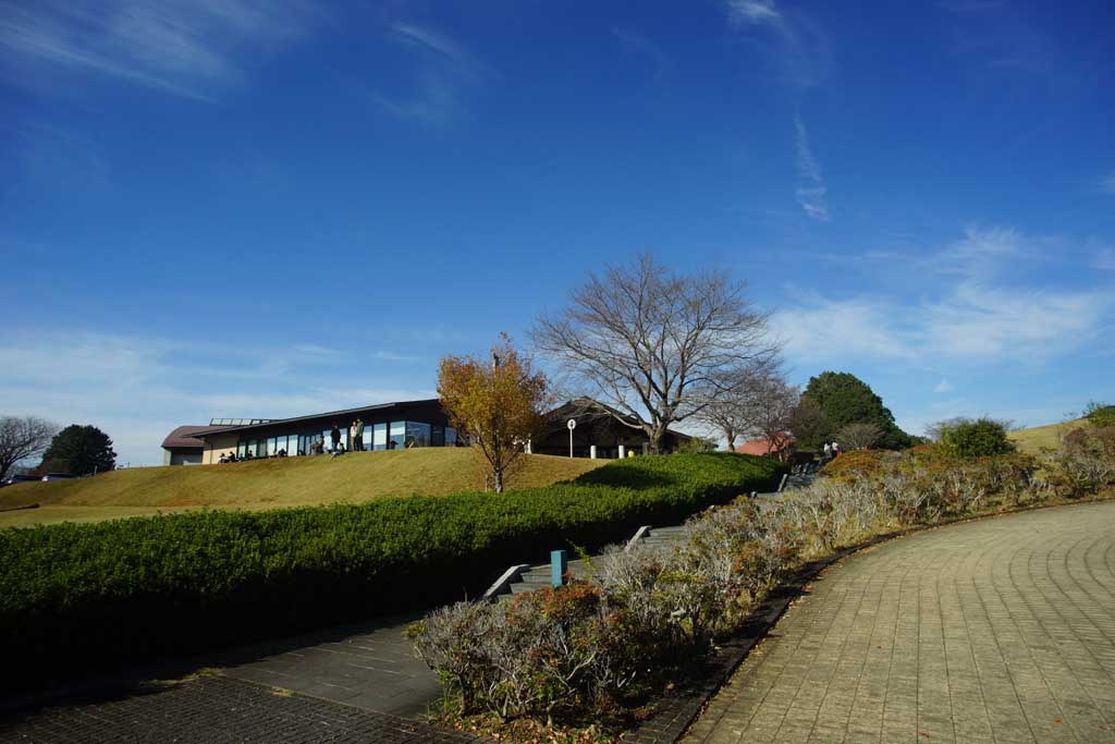 �}�ԍH�|�̋u�@�ӏH